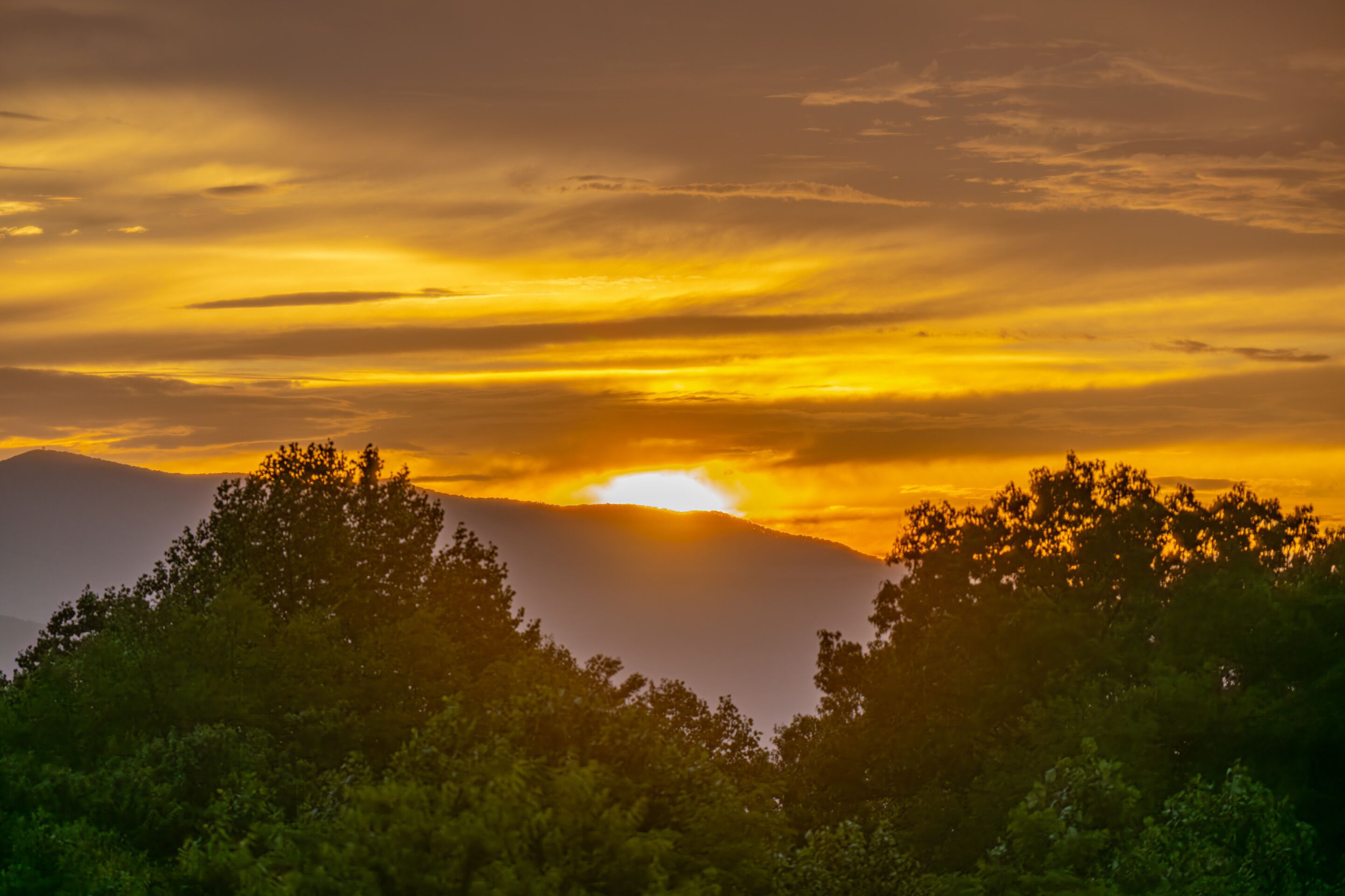 A sunset over a mountain range with trees in the foreground.