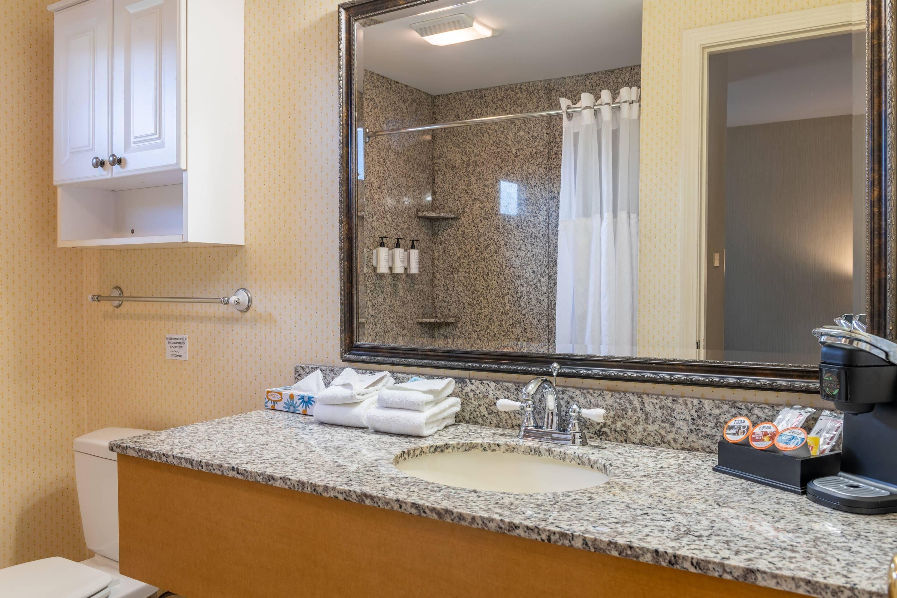 A bathroom with a granite countertop, a sink, a mirror, a shower, and a toilet.