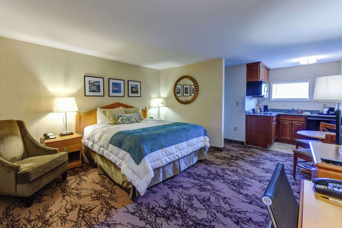 Room, 1 King Bed (Efficiency) | Private kitchenette | Fridge, microwave, coffee/tea maker