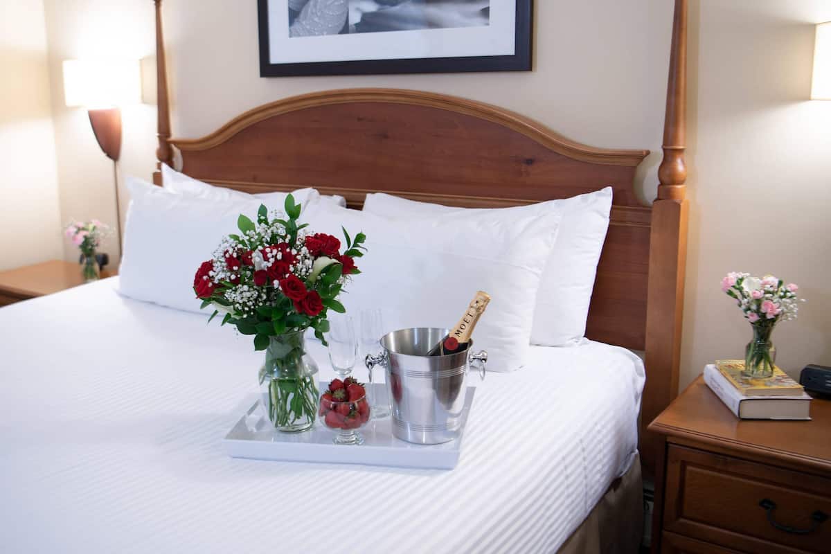 Sviitti, 1 suuri parisänky ja vuodesohva, tupakointi kielletty | Allergiatestatut vuodevaatteet, työpöytä, pimennysverhot