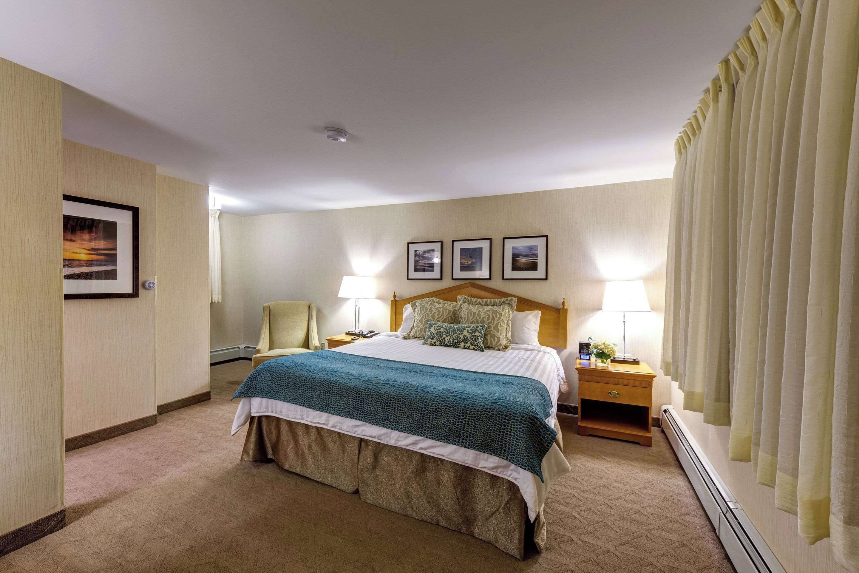 standard room, 1 king bed, non smoking | hypo-allergenic bedding, desk, blackout curtains, iron/ironing board