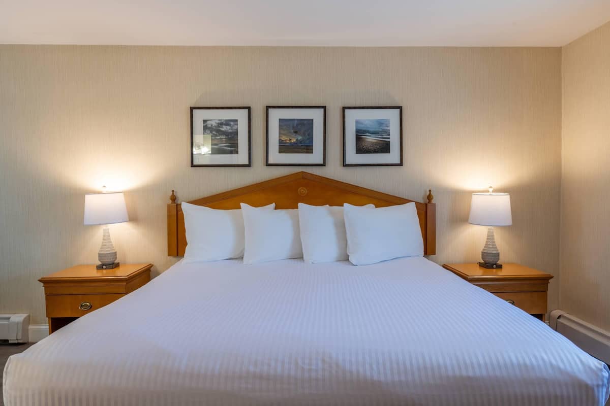 Standard Room, 1 King Bed, Non Smoking | Hypo-allergenic bedding, desk, blackout drapes, iron/ironing board