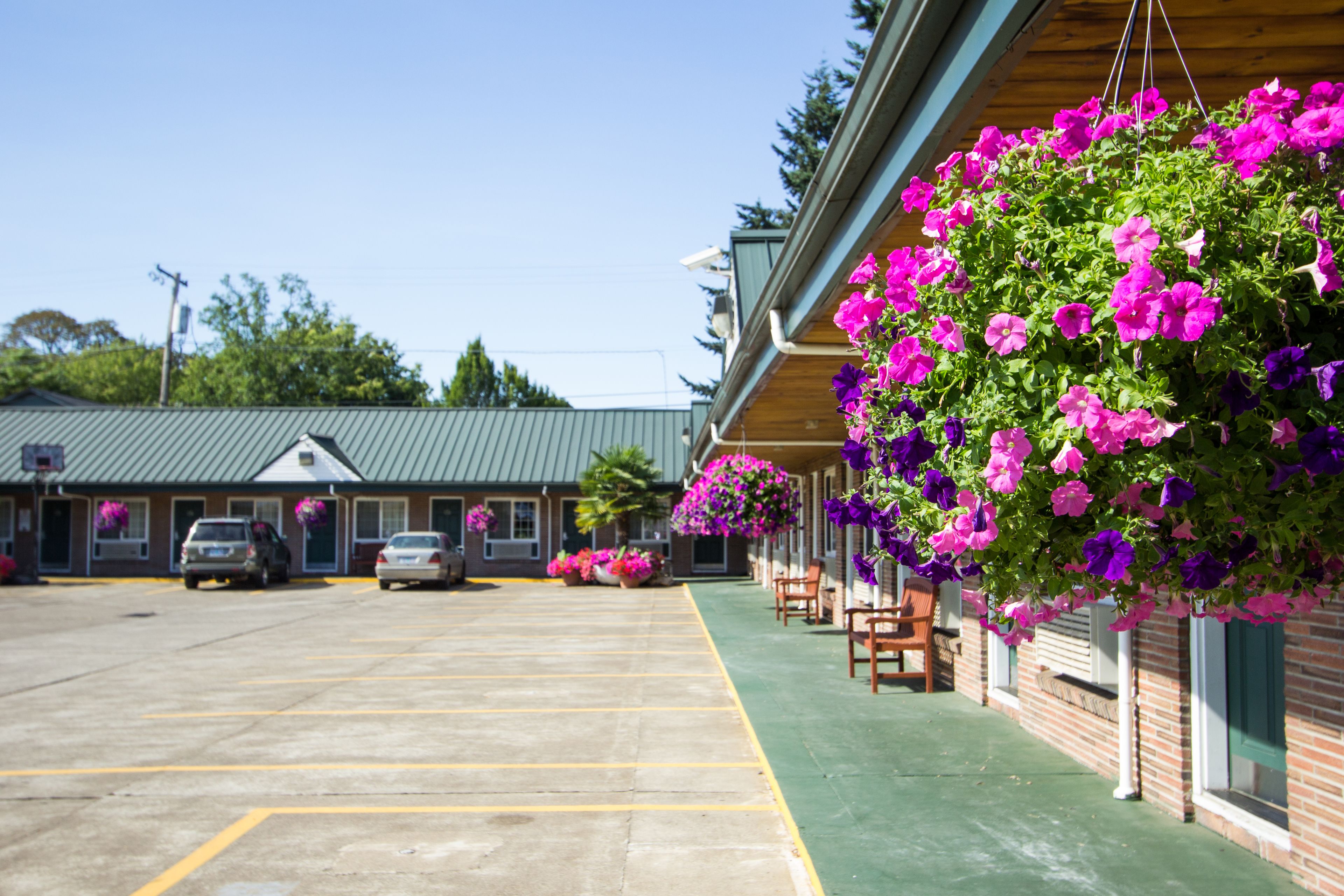 บริเวณที่พัก