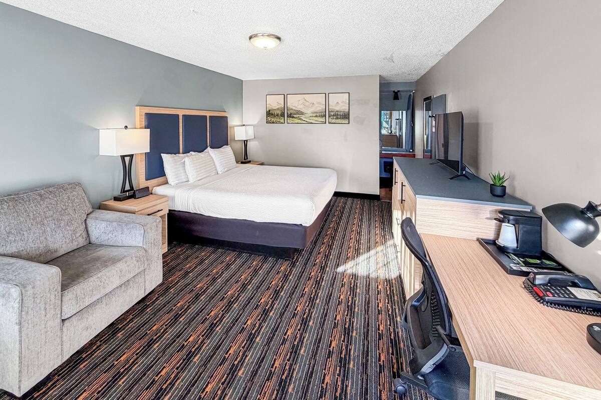 A hotel room with a bed, a desk, a chair, a TV, and a small plant.