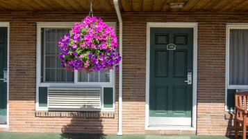 A building with a green door and window, a hanging flower basket, and a brick facade.