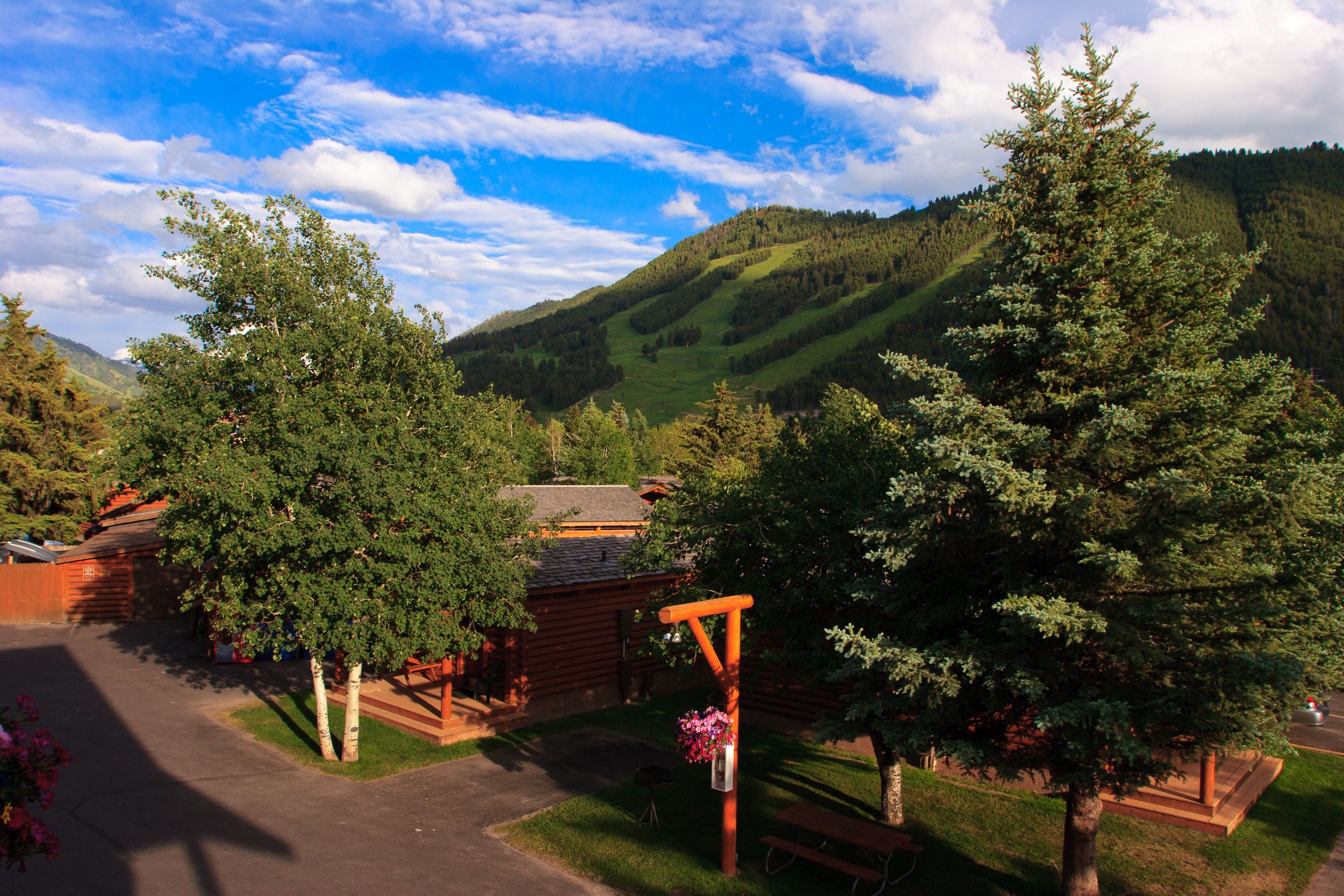 A cabin with a wooden deck and a bench, surrounded by trees and a mountain backdrop.