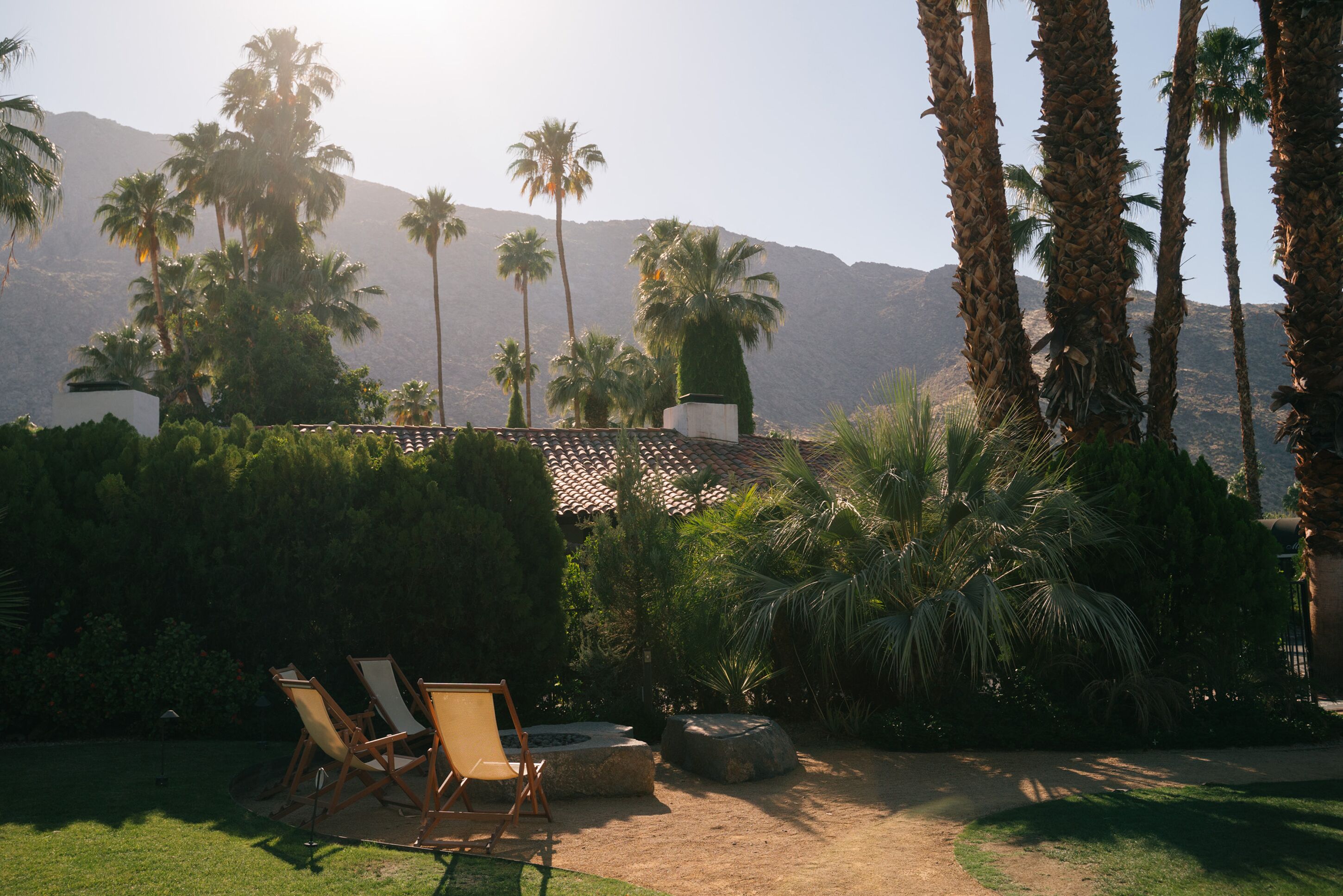 A garden with palm trees, a patio with chairs, and a view of mountains.