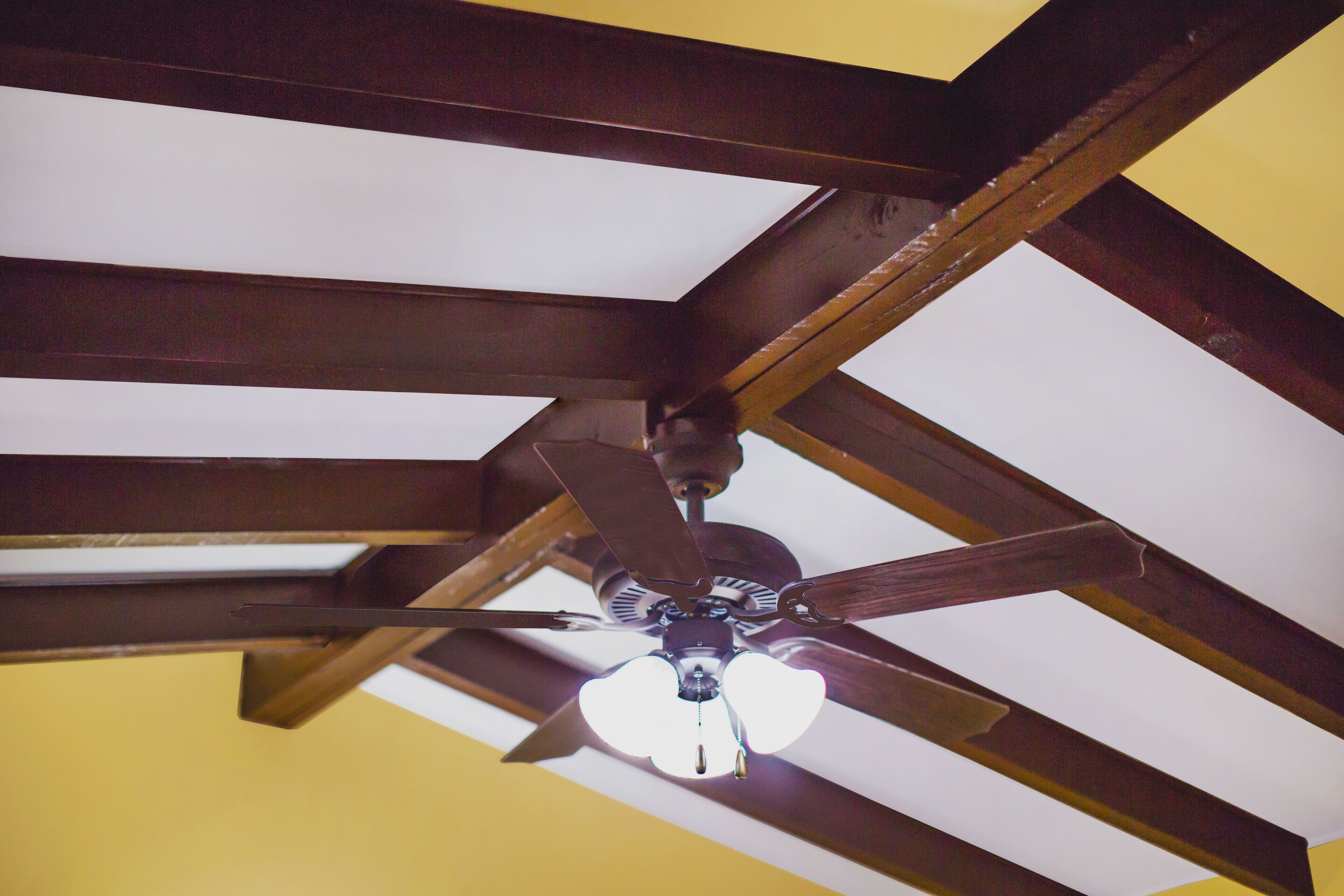 Foto - El Patio Inn - Near Universal Studios Hollywood