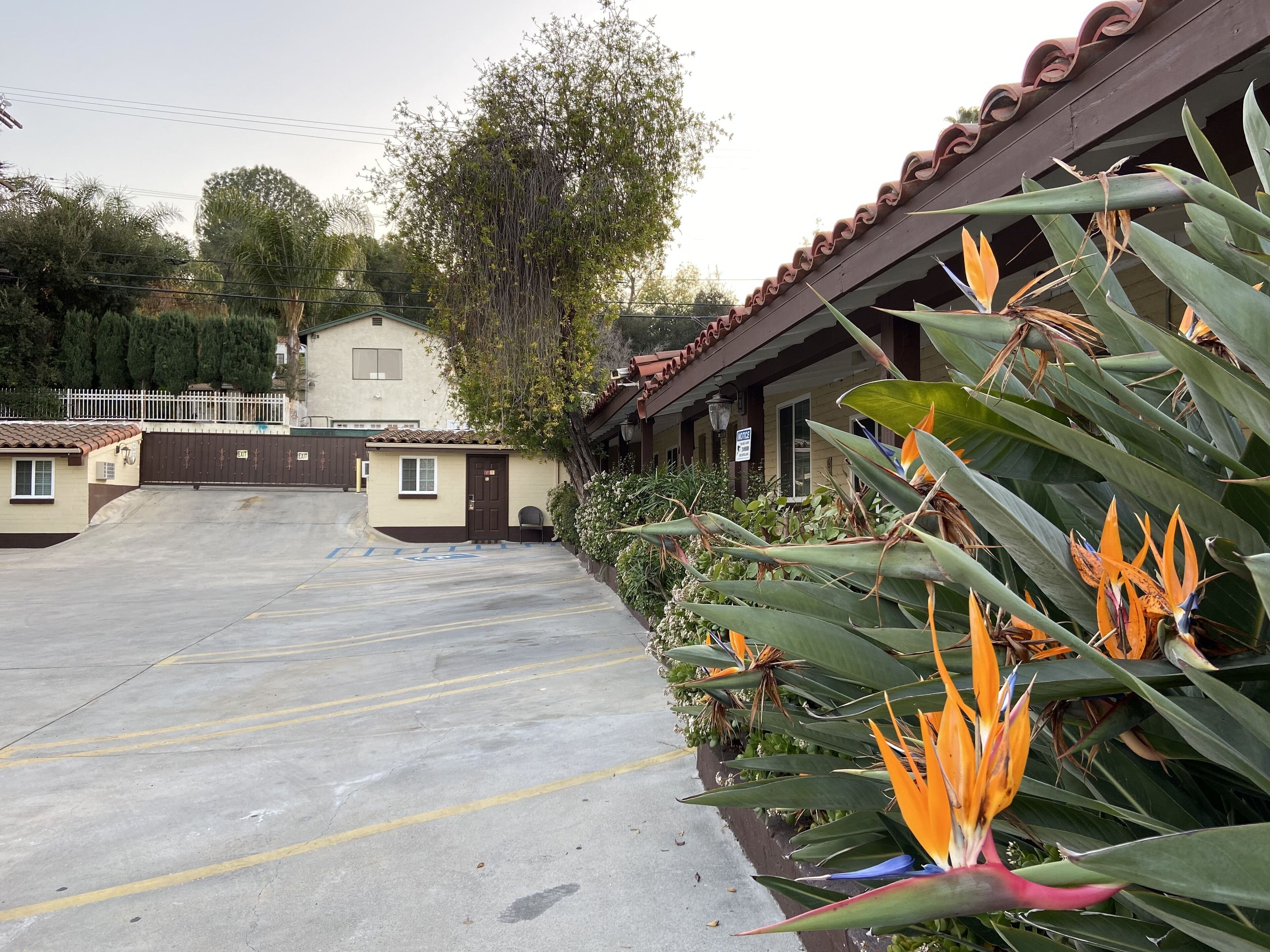 Foto - El Patio Inn - Near Universal Studios Hollywood