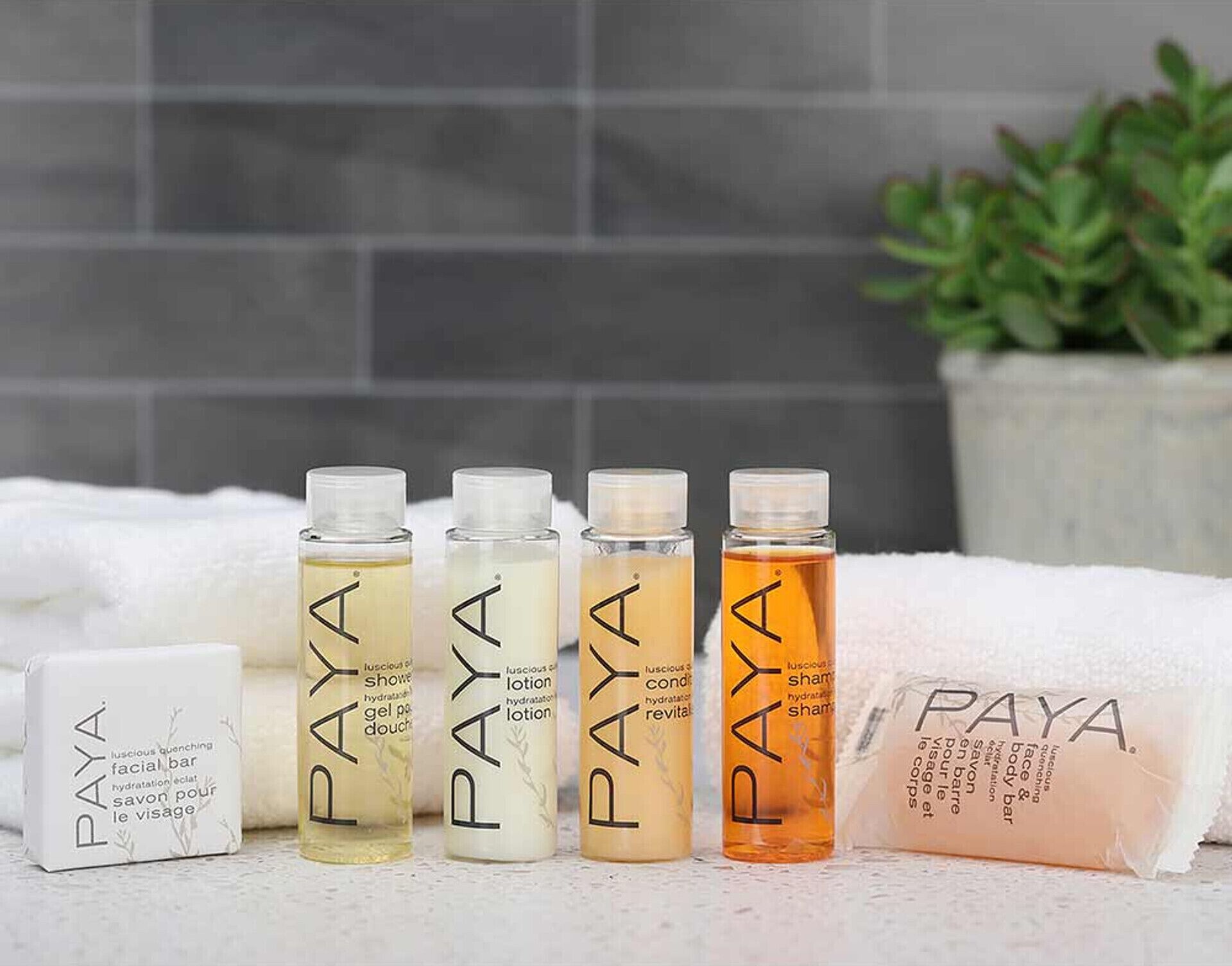 A row of PAYA skincare products including a facial bar, lotion, and shampoo, displayed on a white surface with a tiled wall and a plant in the background.