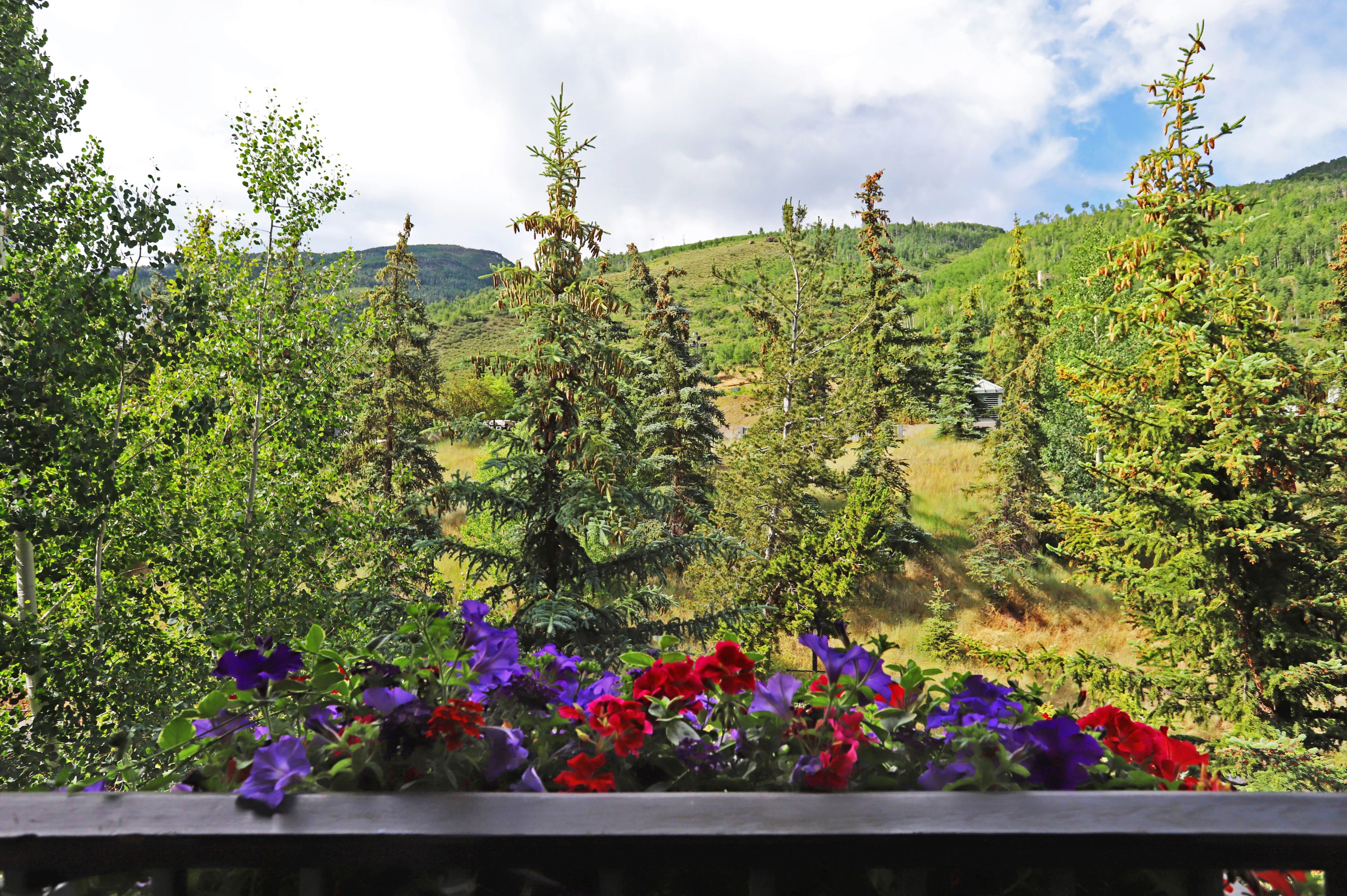 room, 2 double beds (columbine) | view from room