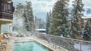 Zona de piscina con vista a árboles nevados y montañas.