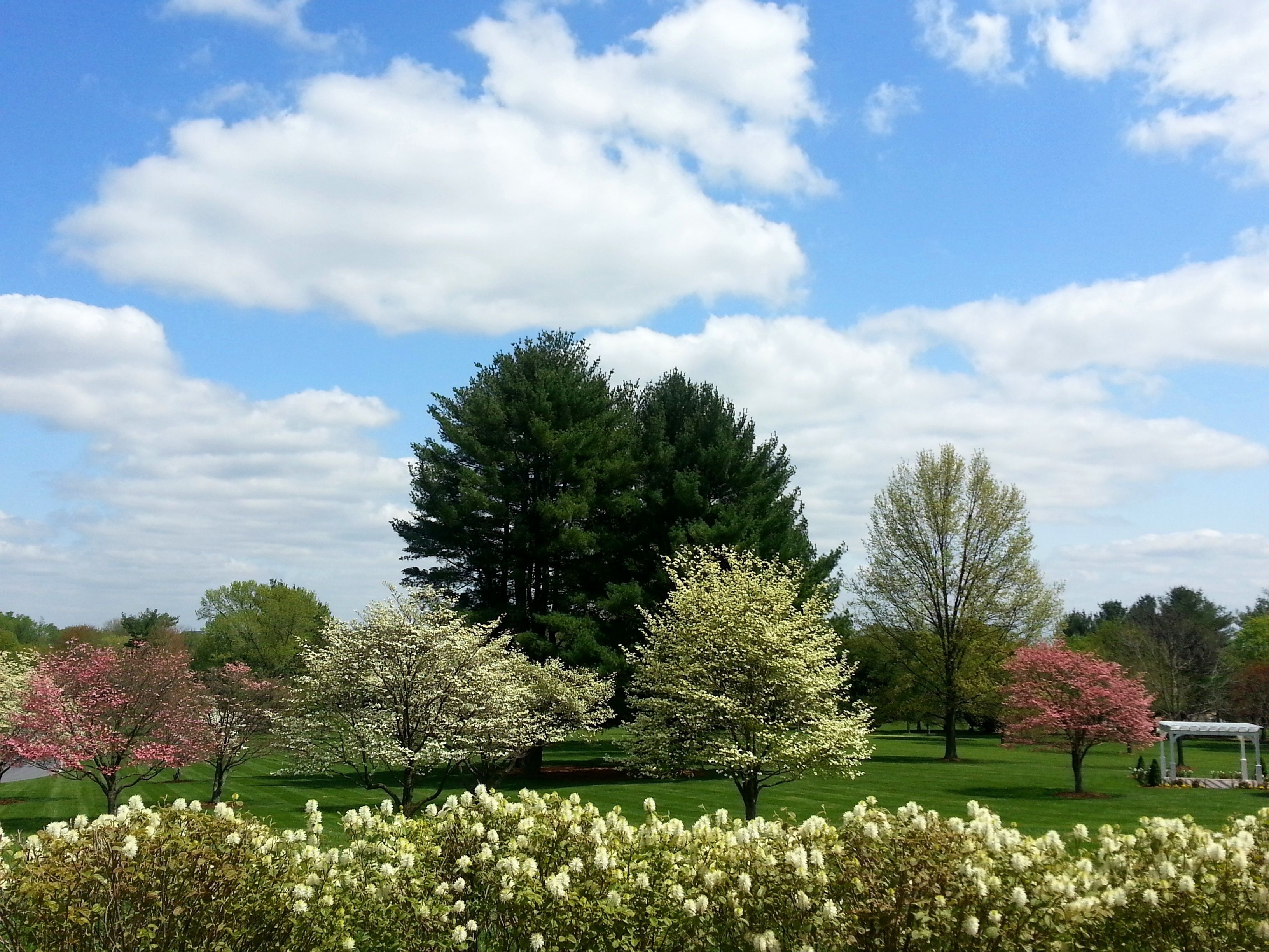 A park with a gazebo, trees, and a clear sky.