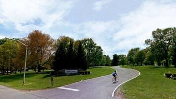 Una carretera sinuosa con un ciclista, rodeada de árboles y zonas verdes.