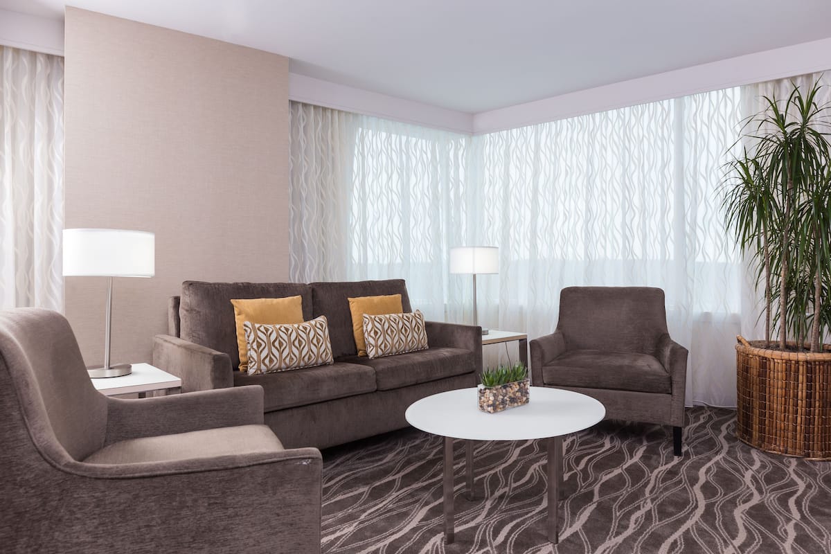 Quarto de hotel moderno com sofá cinzento, duas poltronas, uma mesa de centro e uma grande planta em vaso.