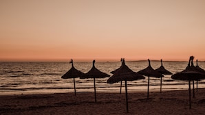 Een strand met rieten parasols in een rij langs de kust.