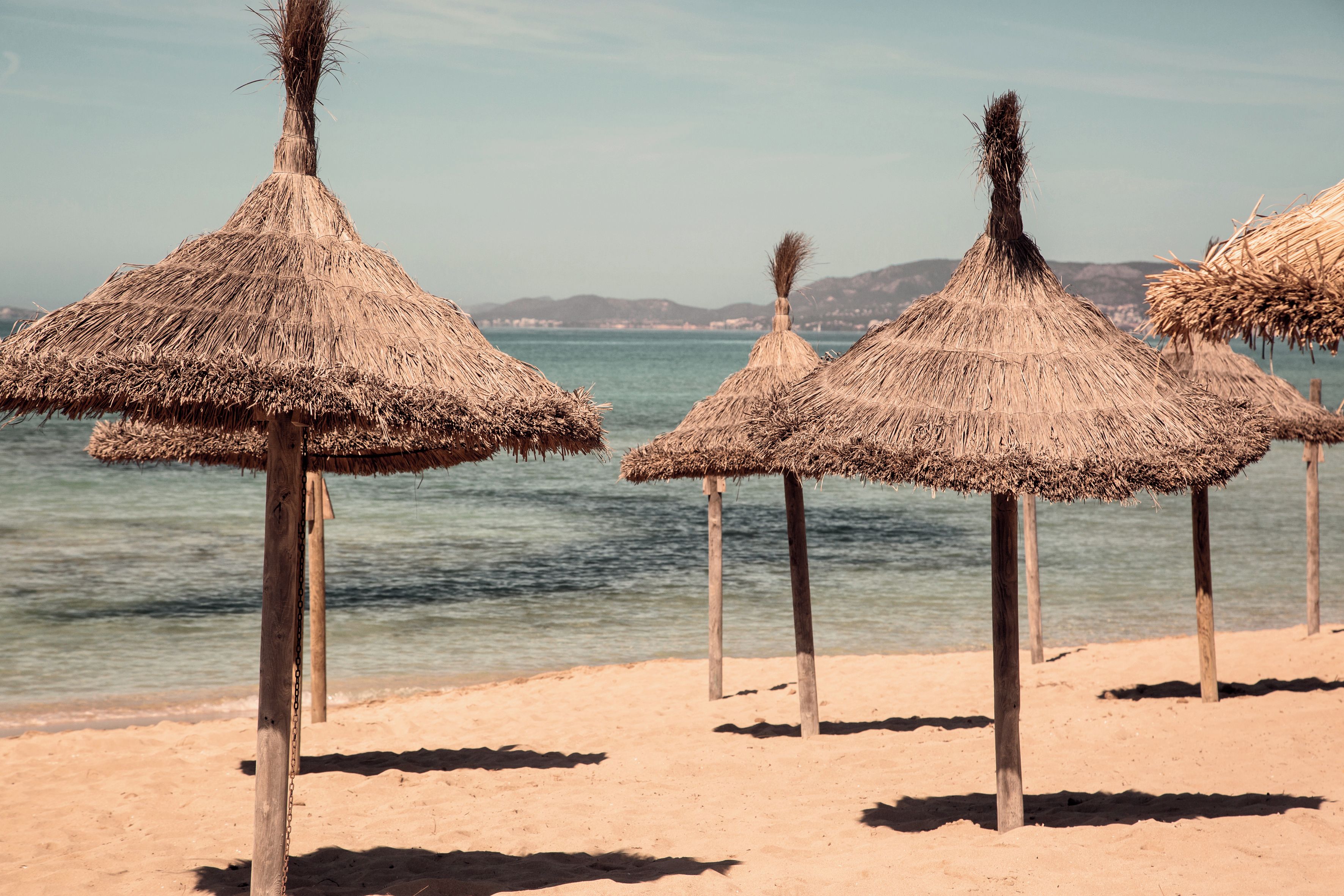 A beach with thatched umbrellas and wooden posts.
