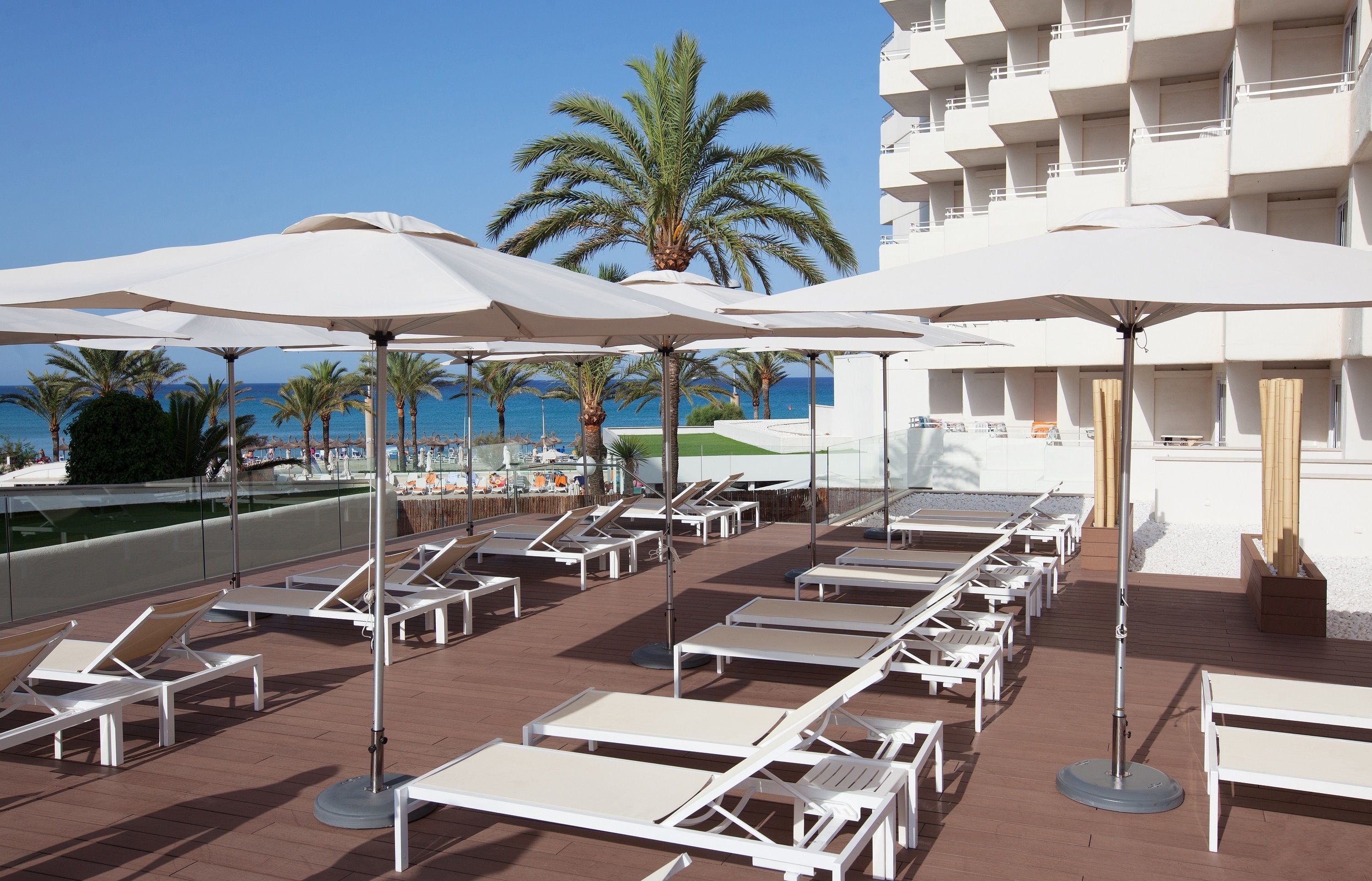A rooftop lounge area with sunbeds and umbrellas, overlooking a pool and palm trees.