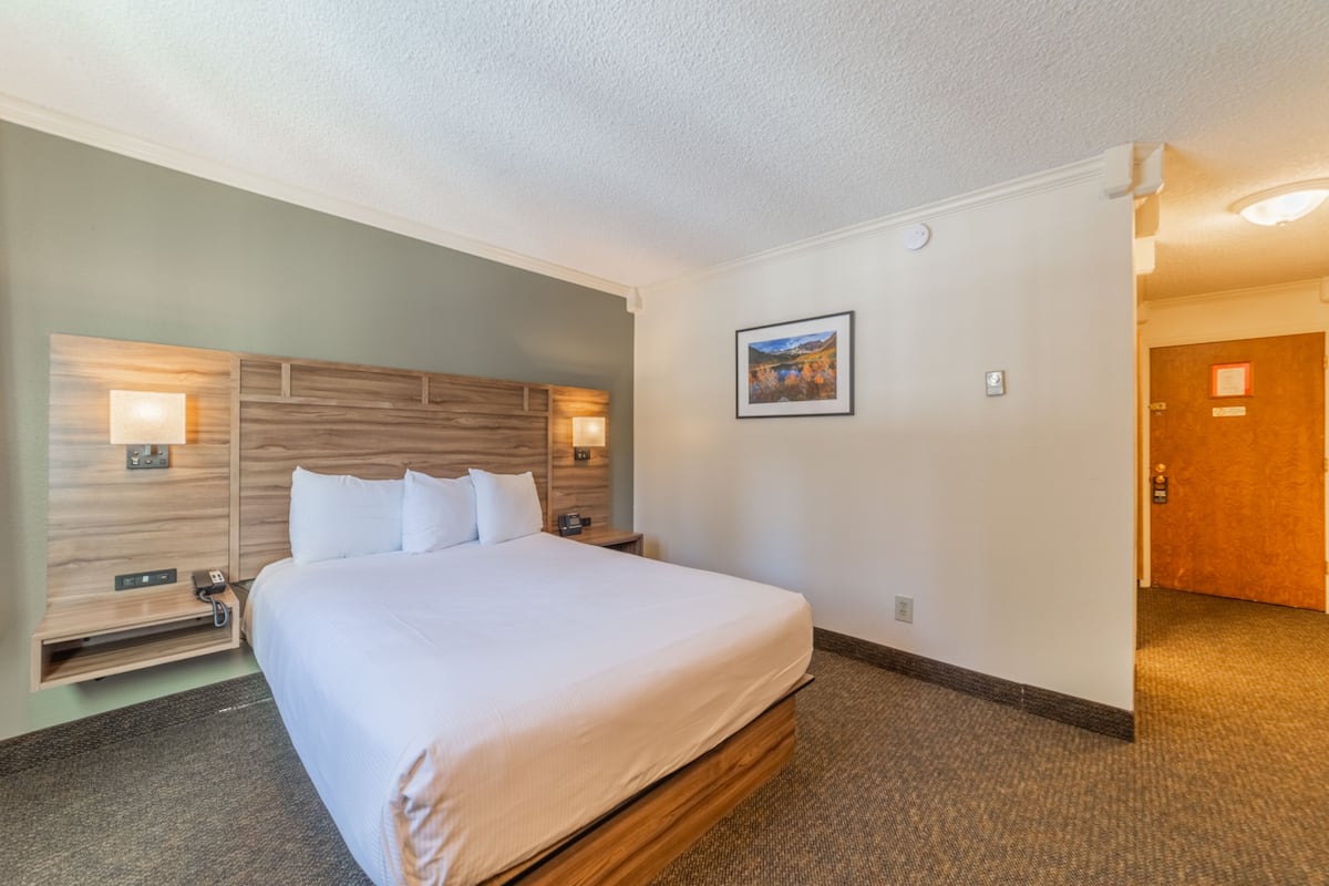 A hotel room with a wooden headboard, a large bed, a nightstand, a wall-mounted lamp, and a framed picture on the wall.