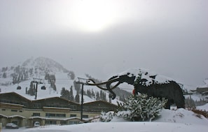 Esterni