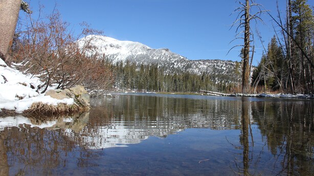 Un lago tranquilo rodeado de montañas nevadas y árboles sin hojas.