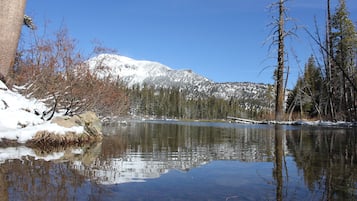 Lac