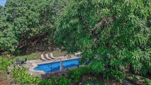 Outdoor pool, pool umbrellas, sun loungers
