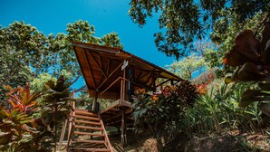 A wooden structure with a sloped roof, surrounded by lush vegetation and a clear blue sky. - Surf Synergy All-Inclusive Surf Retreat (Jacó)