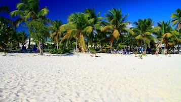 Una playa con palmeras y tumbonas.