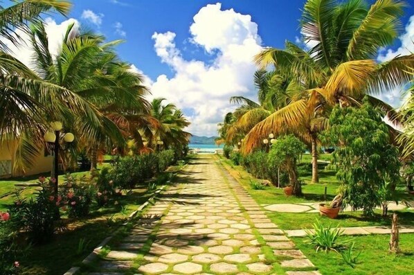 Un sendero bordeado por palmeras y flores que conduce a una playa.