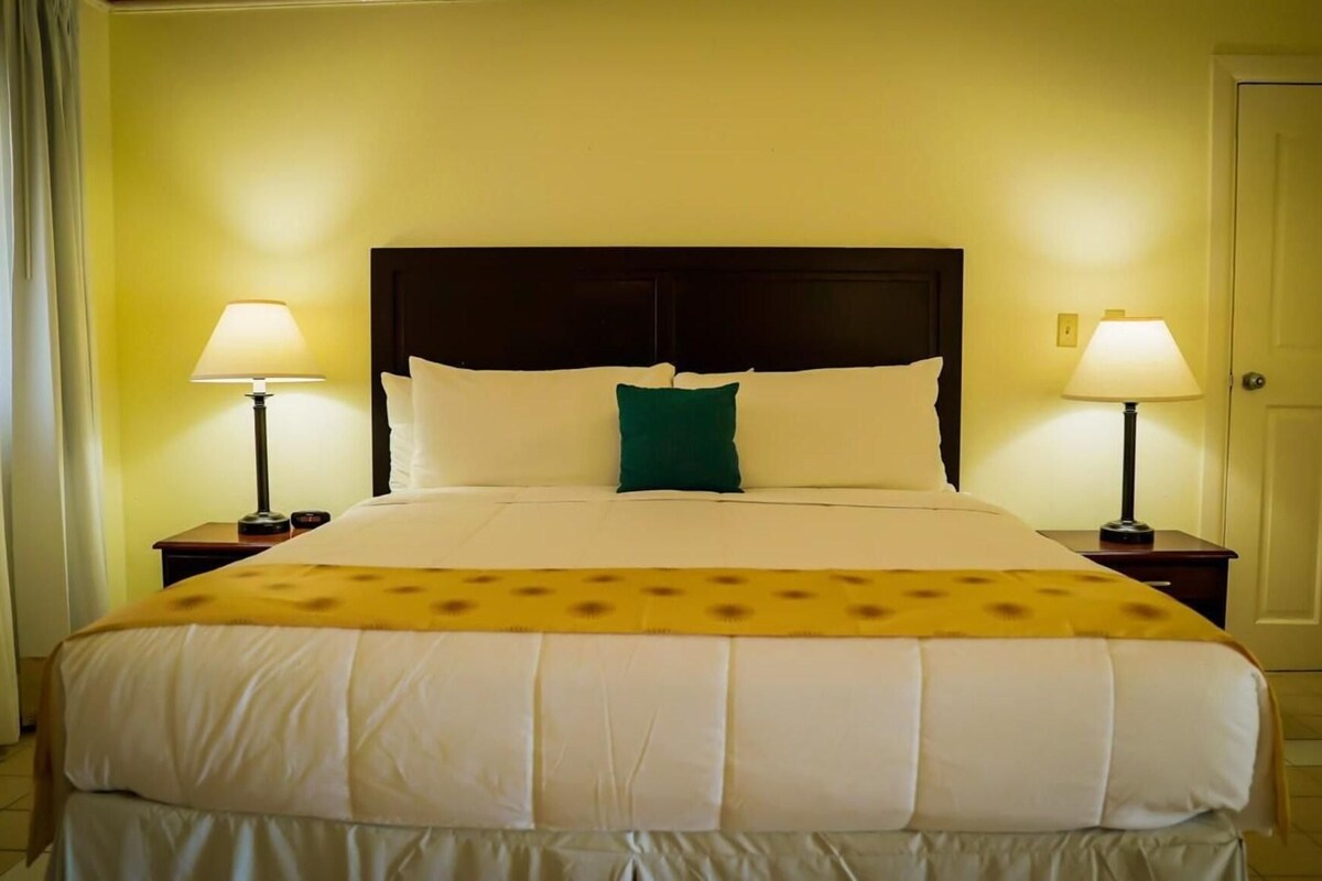 Una habitación de hotel con una cama, dos lámparas de noche, una puerta y una cortina.