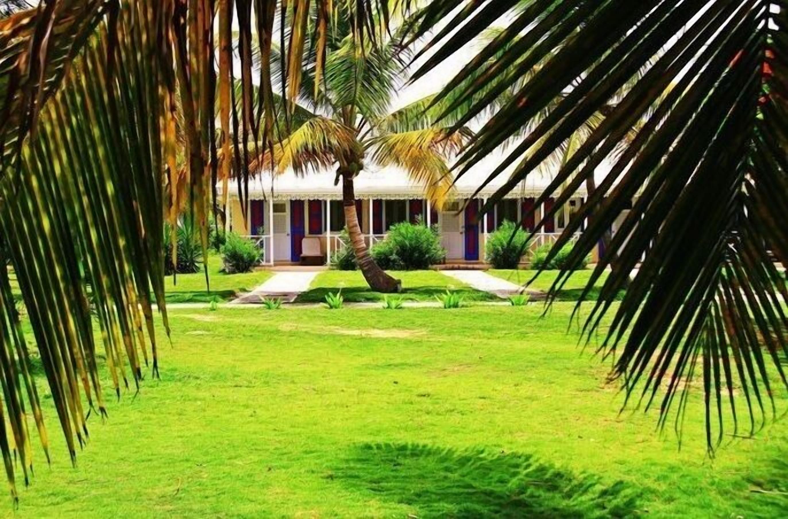 A hotel with a central courtyard, palm trees, and a building with a thatched roof.