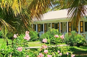 Ducha, artículos de tocador gratuitos, secador de pelo, toallas