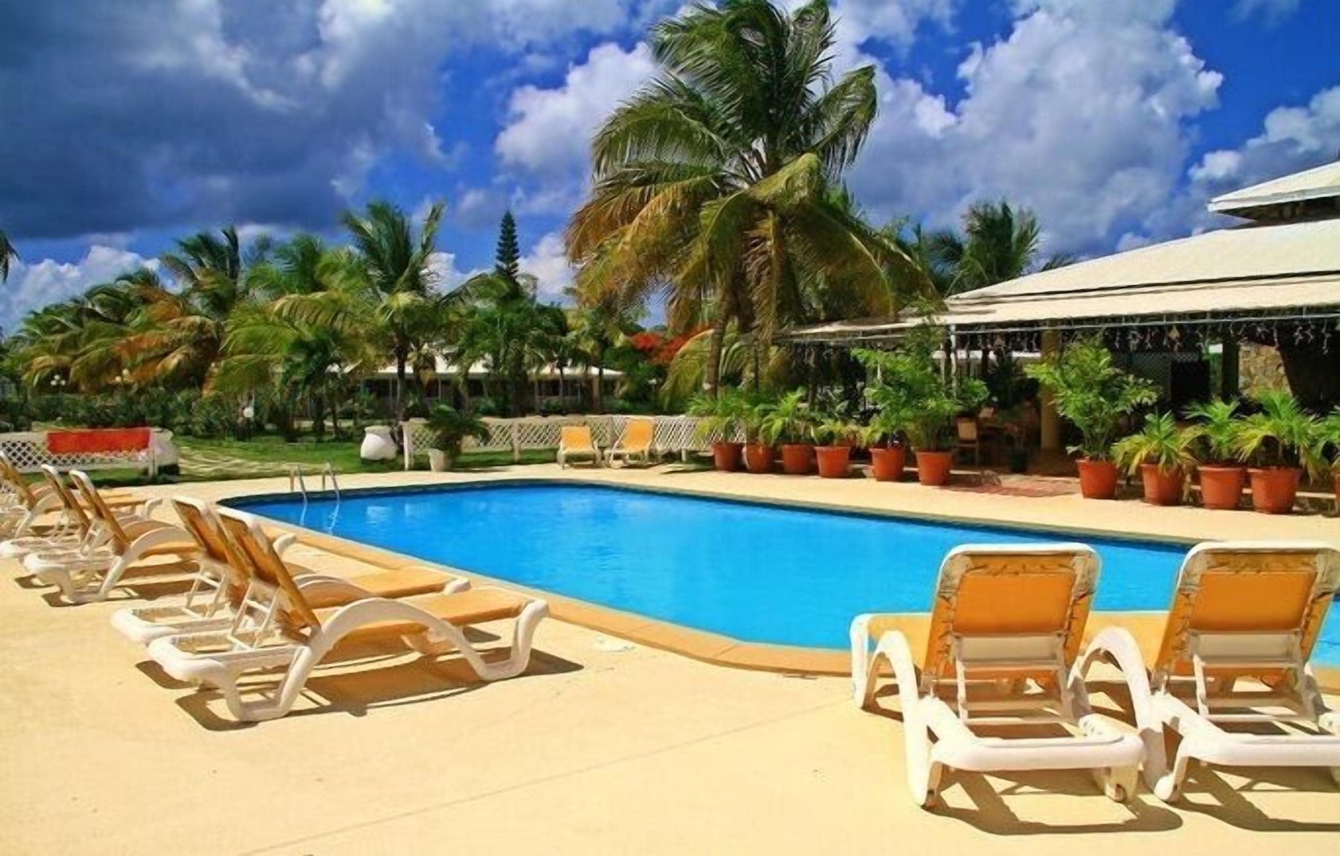 A swimming pool with lounge chairs and palm trees.