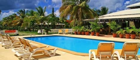 A swimming pool with lounge chairs and palm trees.