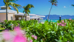 A resort with a pool area, palm trees, and a view of the mountains.