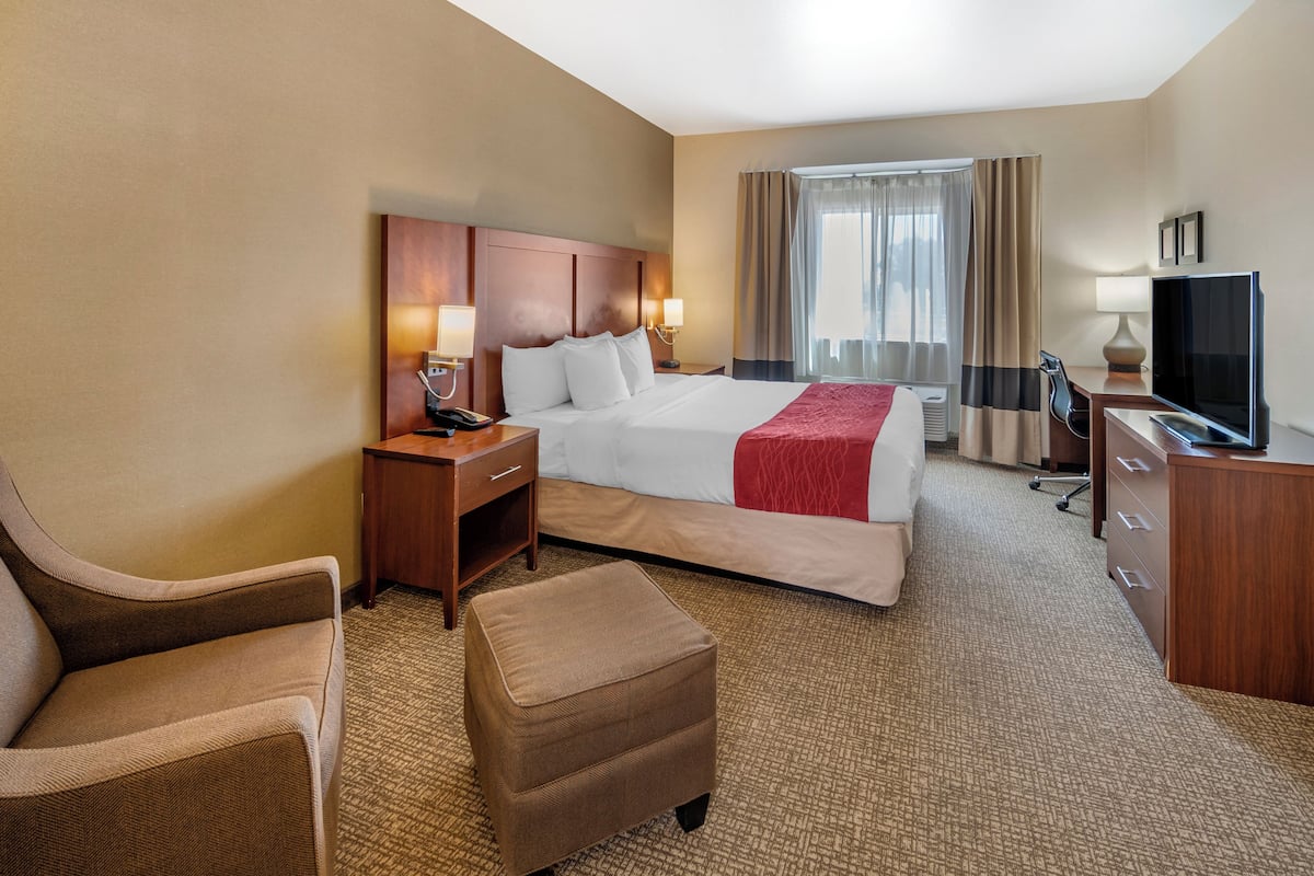 A hotel room with a bed, a desk, a chair, a TV, and a window with curtains.