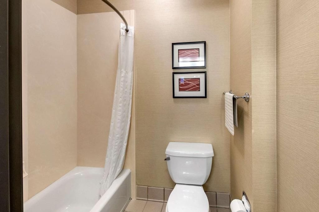 Un baño con bañera, inodoro y dos cuadros en la pared.