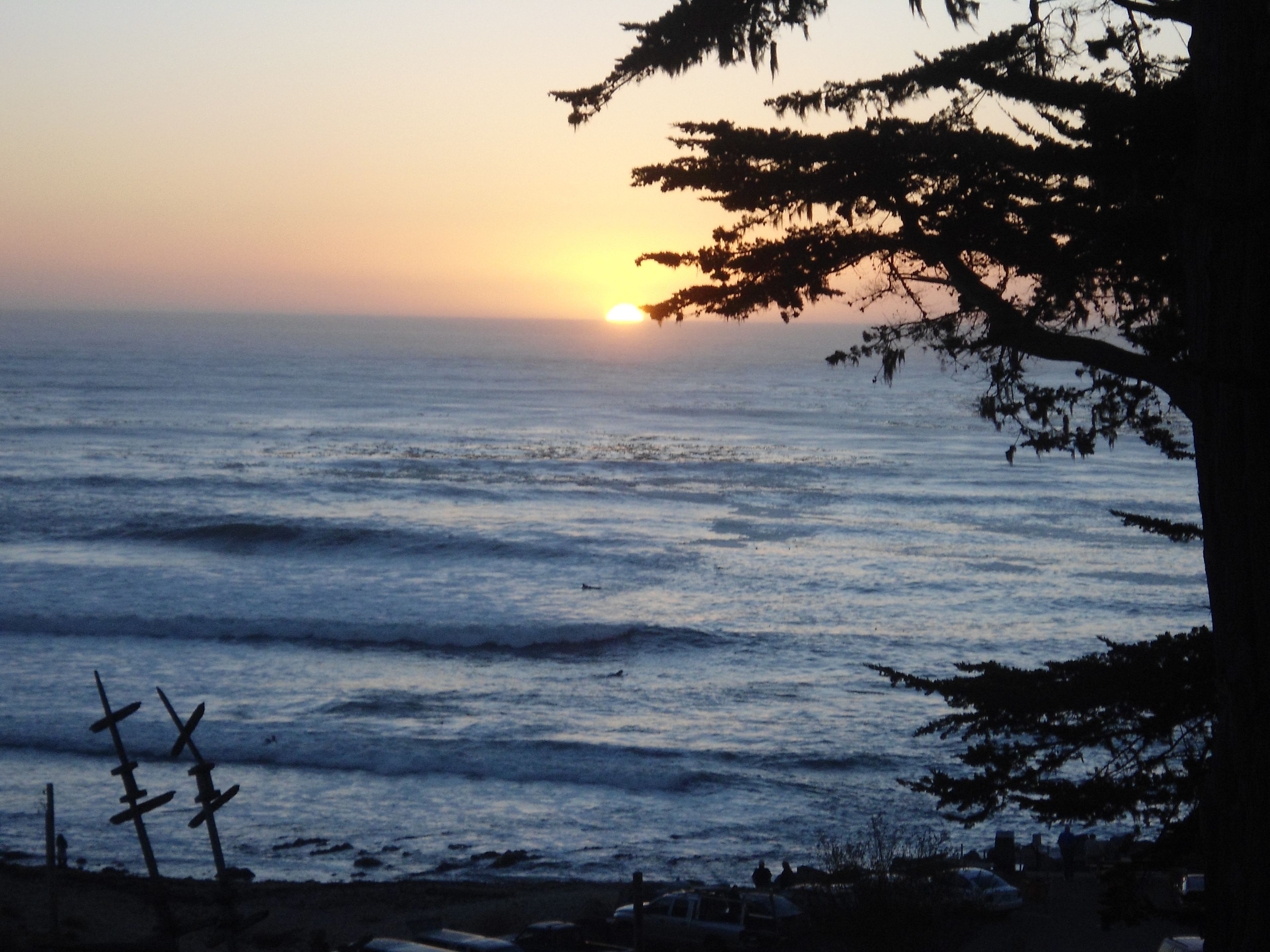 Tramonto sull'oceano con le sagome di alberi e una spiaggia in primo piano.