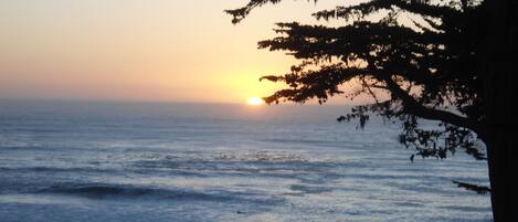 Tramonto sull'oceano con le sagome di alberi e una spiaggia in primo piano.