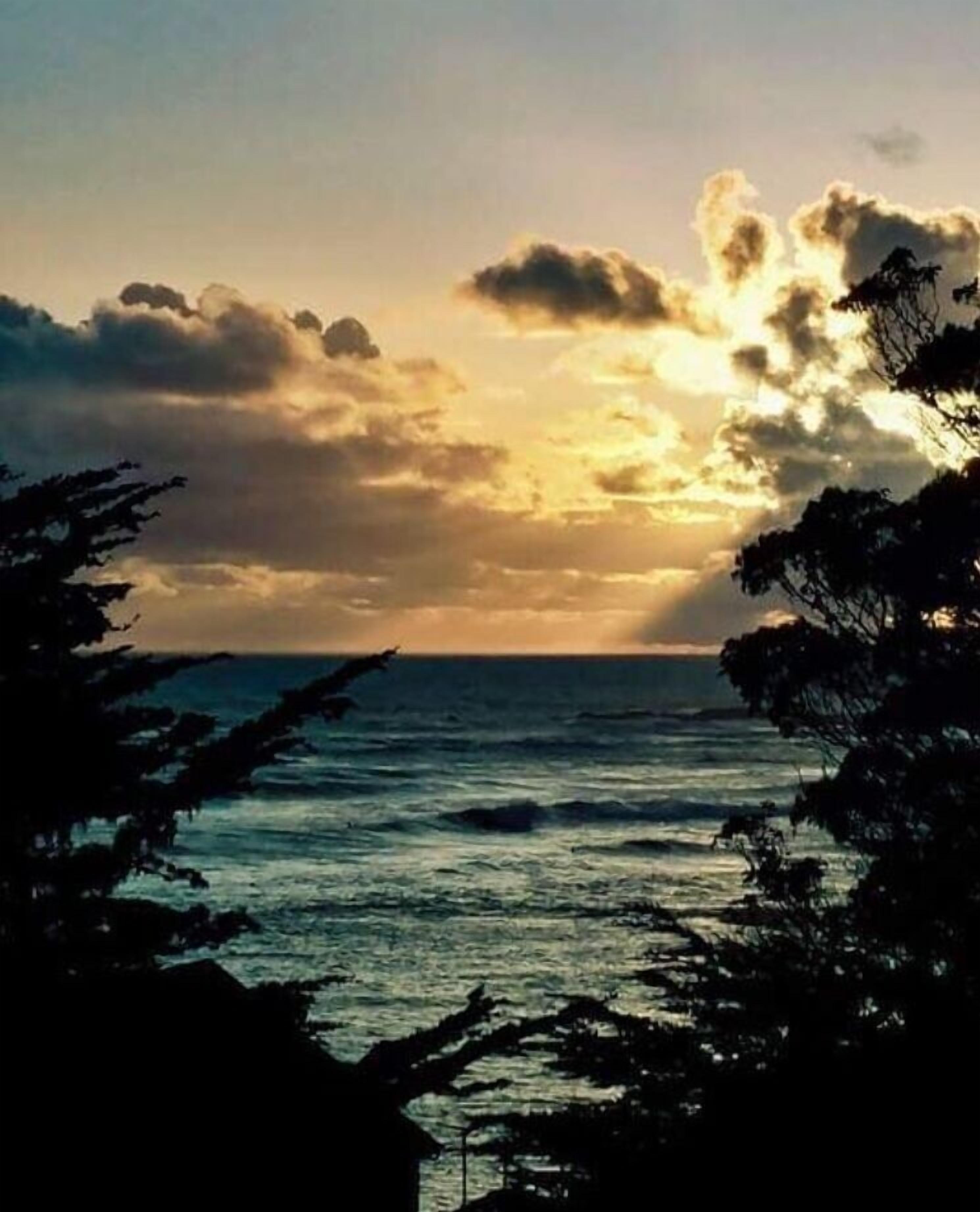A coastal landscape with trees framing the view of the ocean and a sunset.