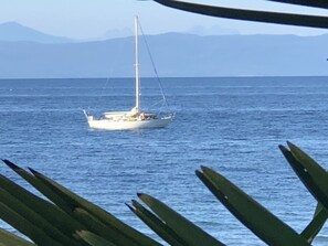 Beach/ocean view