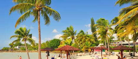 A beach with palm trees, sun loungers, and umbrellas.