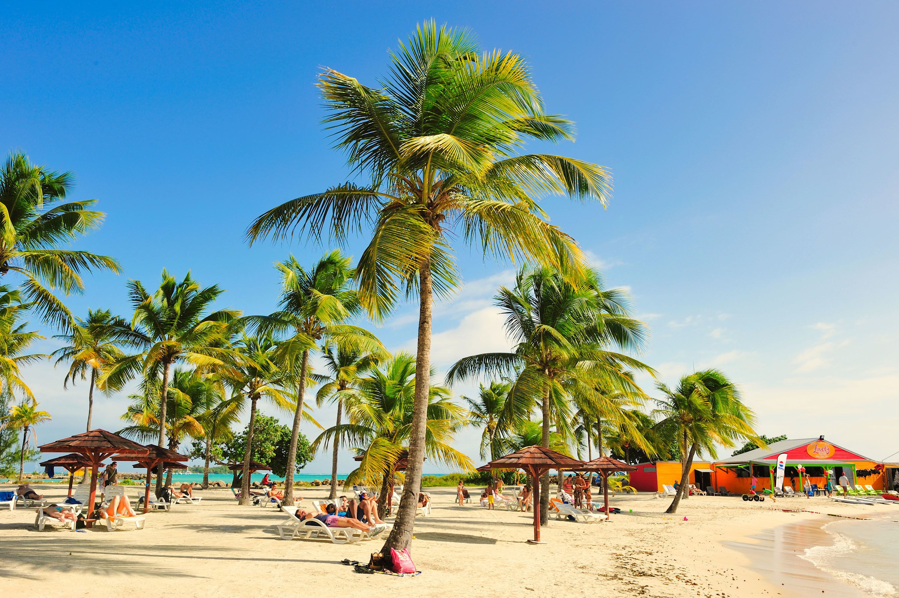 Una playa con palmeras, sillas de playa y sombrillas.