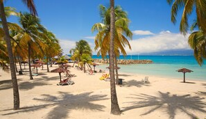 Relax on the beach with sun loungers and umbrellas, surrounded by palm trees and a rocky breakwater.