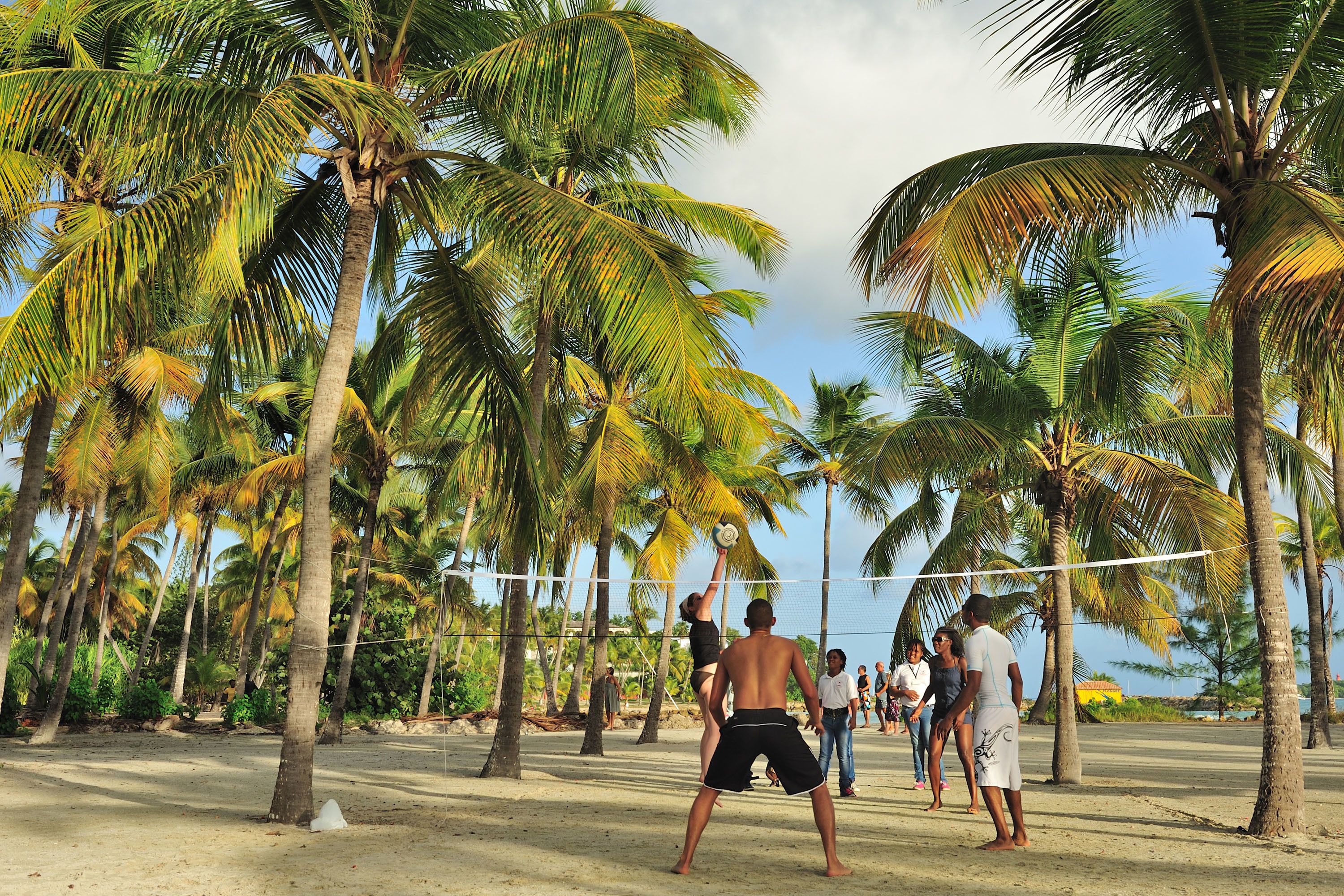 Un match de volleyball de plage avec des palmiers et un ciel dégagé.