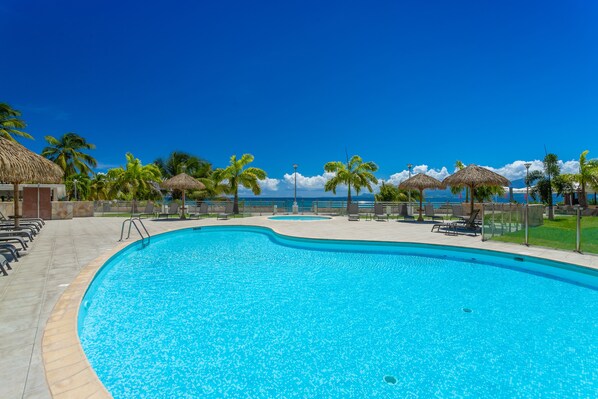 Relax by the pool surrounded by palm trees and lounge chairs.