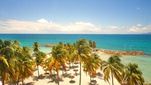 Een strand met palmbomen, een rotsenrijke zeewering en helderblauw water.