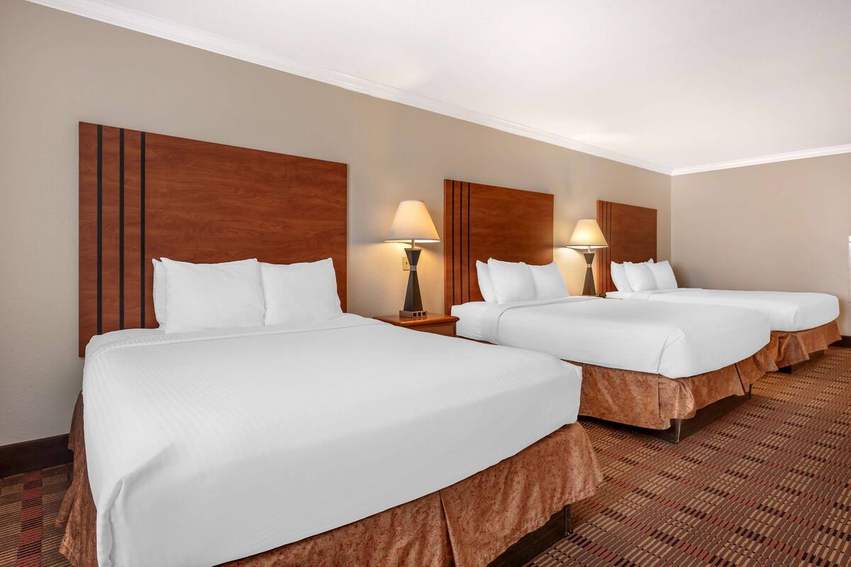 standard room, multiple beds, accessible, refrigerator & microwave (refrigerator & microwave) | 1 bedroom, premium bedding, in-room safe, desk