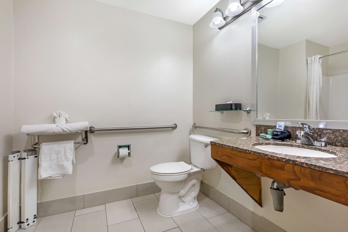 standard room, multiple beds, accessible, refrigerator & microwave (refrigerator & microwave) | bathroom | combined shower/bathtub, deep-soaking bathtub, hydromassage showerhead